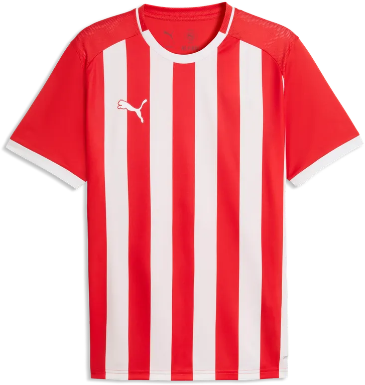 PUMA — teamLIGA26 Striped